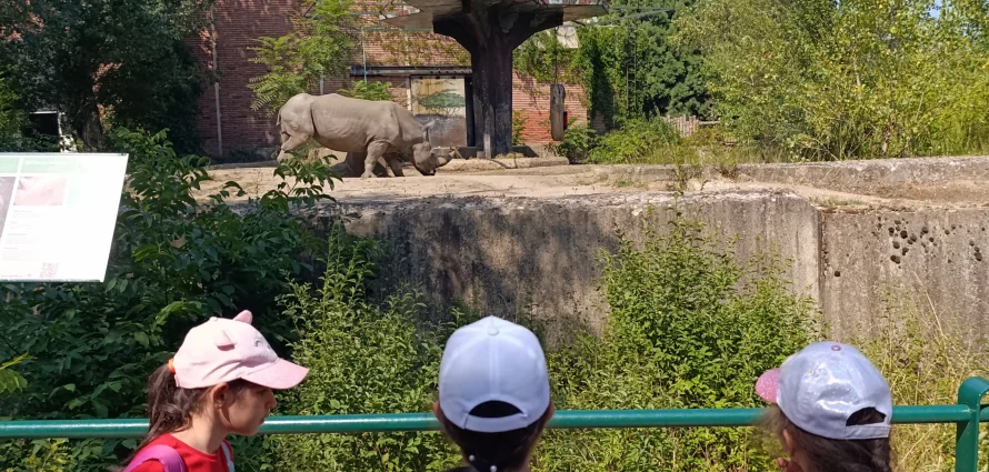 🚌🐾 Minik Kaşifler Hayvanat Bahçesinde! 🐒🦒