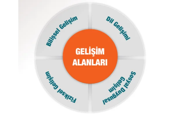 Gelişim Alanları